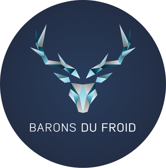 Logo géométrique de Barons du Froid représentant une tête de cerf stylisée en bleu et gris sur fond circulaire bleu foncé